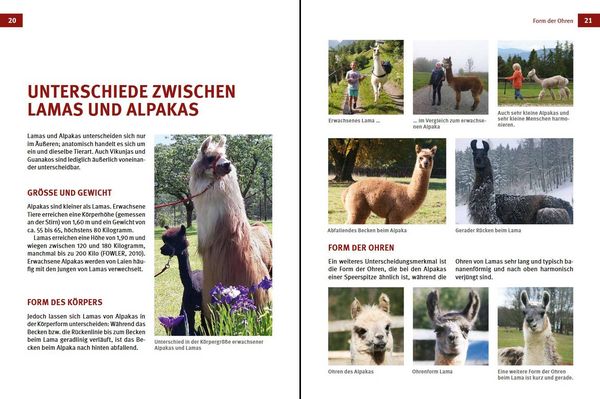 Produktbild: Alpakas & Lamas