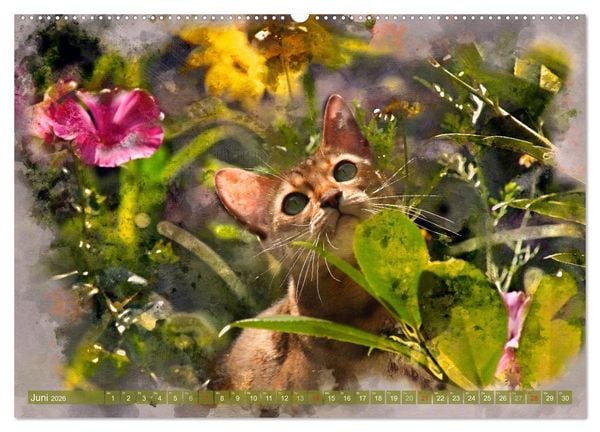 Produktbild: Katzenkalender mausgemalt (hochwertiger Premium Wandkalender 2026 DIN A2 quer), Kunstdruck in Hochglanz