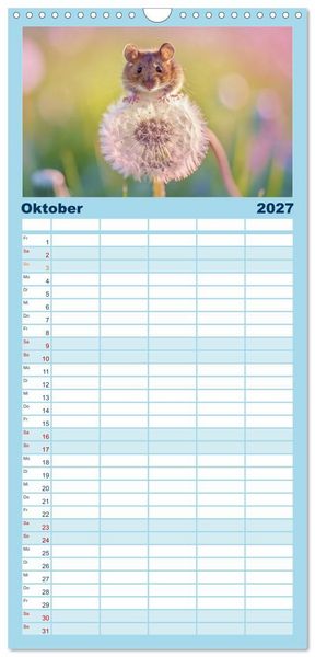 Produktbild: Familienplaner 2027 - Zwischen den Feldern mit 5 Spalten (Wandkalender, 21 x 45 cm) CALVENDO