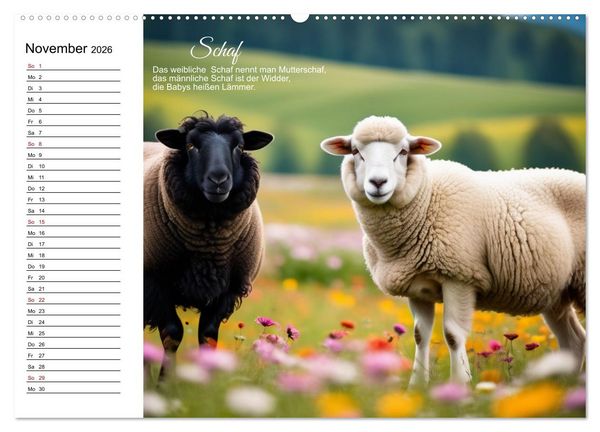 Produktbild: F&uuml;r pfiffige Kids- Haus- und Hoftiere (Wandkalender 2026 DIN A2 quer), CALVENDO Monatskalender