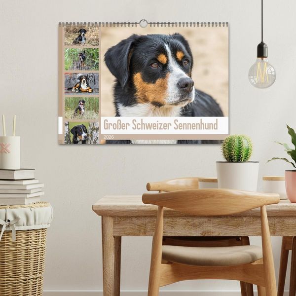Produktbild: Gro&szlig;er Schweizer Sennenhund (Wandkalender 2026 DIN A3 quer), CALVENDO Monatskalender