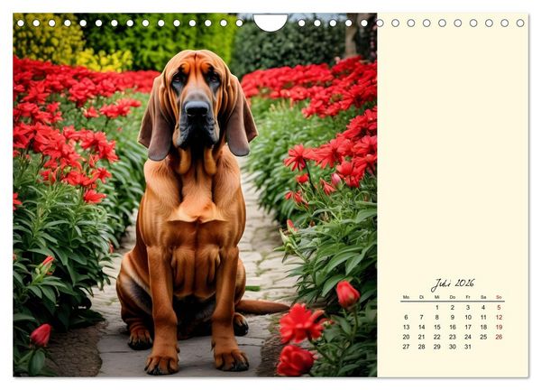 Produktbild: Bloodhound - M&auml;chtige Sp&uuml;rnase (Wandkalender 2026 DIN A4 quer), CALVENDO Monatskalender