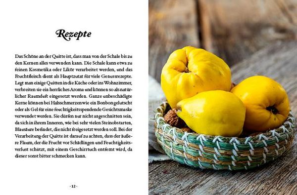 Das kleine Buch: Quitten in Küche und Kosmetik
