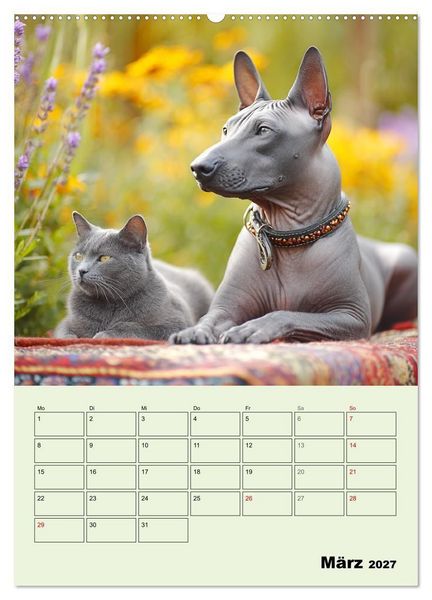 Produktbild: Xolos. Seelenhunde aus Mexiko (Wandkalender 2027 DIN A2 hoch), CALVENDO Monatskalender