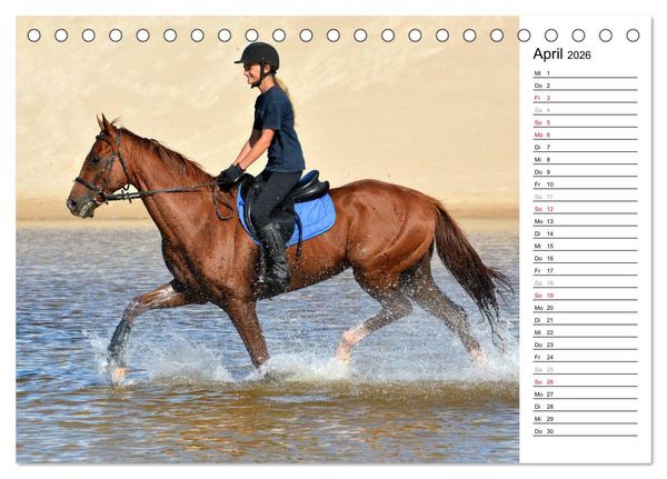 Produktbild: Mein Reitsport Kalender (Tischkalender 2026 DIN A5 quer), CALVENDO Monatskalender