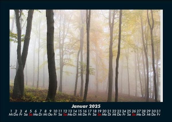 Produktbild: B&auml;ume 2025 Fotokalender DIN A5