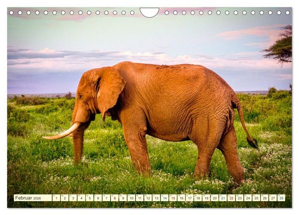 Produktbild: Die Riesen der Savanne (Wandkalender 2026 DIN A4 quer), CALVENDO Monatskalender