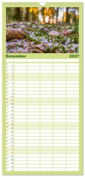 Produktbild: Familienplaner 2027 - Vielfalt am Waldboden mit 5 Spalten (Wandkalender, 21 x 45 cm) CALVENDO