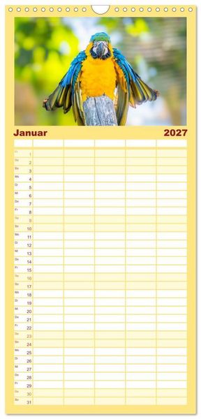 Produktbild: Familienplaner 2027 - Aras und bunte Sittiche: Exotische Papageien-Portr&auml;ts mit 5 Spalten (Wandkalender, 21 x 45 cm) CALVENDO