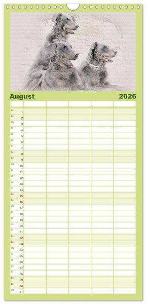 Produktbild: Familienplaner 2026 - Franz&ouml;sische Hirtenhunde 2026 mit 5 Spalten (Wandkalender, 21 x 45 cm) CALVENDO