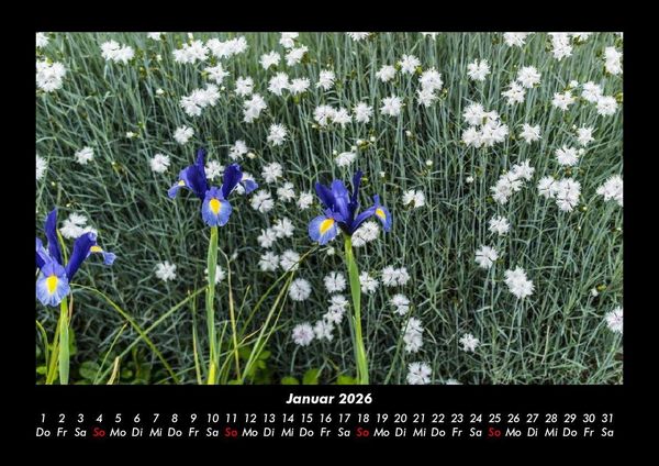Produktbild: Blumenkalender 2026 Fotokalender DIN A3