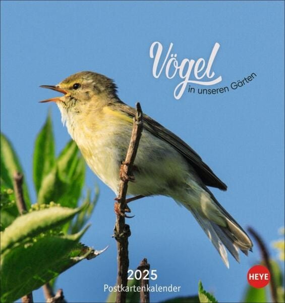 Vögel in unseren Gärten Postkartenkalender 2025