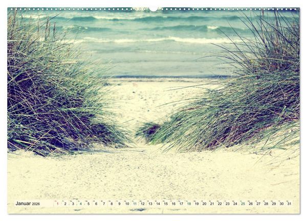 Produktbild: Focus Natur (Wandkalender 2026 DIN A2 quer), CALVENDO Monatskalender