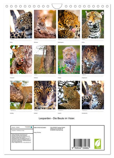 Produktbild: Leoparden - Die Beute im Visier. (Wandkalender 2026 DIN A4 hoch), CALVENDO Monatskalender