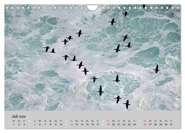 Produktbild: Momente in S&uuml;dafrika (Wandkalender 2026 DIN A4 quer), CALVENDO Monatskalender