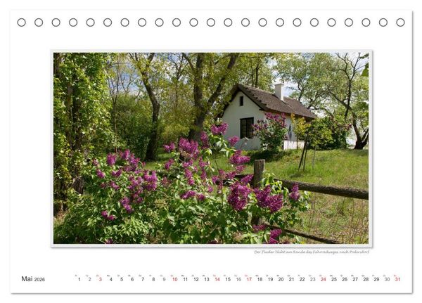 Produktbild: Neusiedler See / CH-Version (Tischkalender 2026 DIN A5 quer), CALVENDO Monatskalender