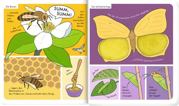 Produktbild: Mein F&uuml;hl-W&ouml;rterbuch: In der Natur (F&uuml;hlen&begr.)