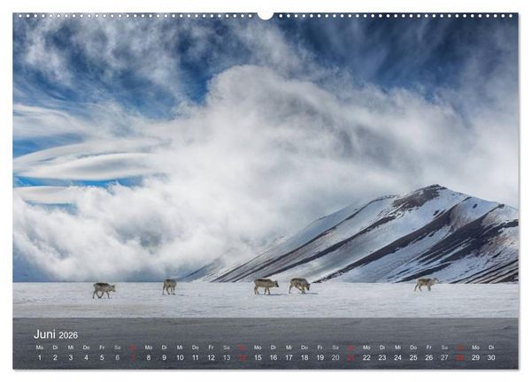 Produktbild: Spitzbergen - Impressionen aus der Arktis (hochwertiger Premium Wandkalender 2026 DIN A2 quer), Kunstdruck in Hochglanz