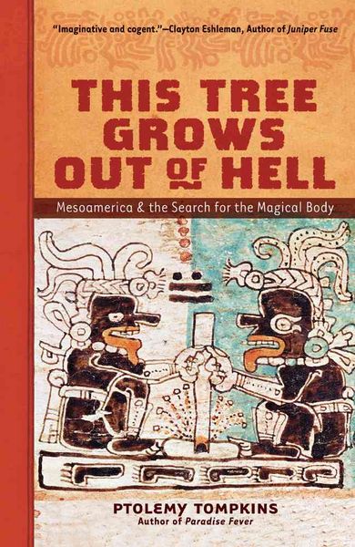 Produktbild: This Tree Grows Out of Hell: Mesoamerica and the Search for the Magical Body