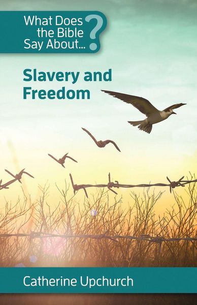 Produktbild: What Does the Bible Say About Slavery and Freedom