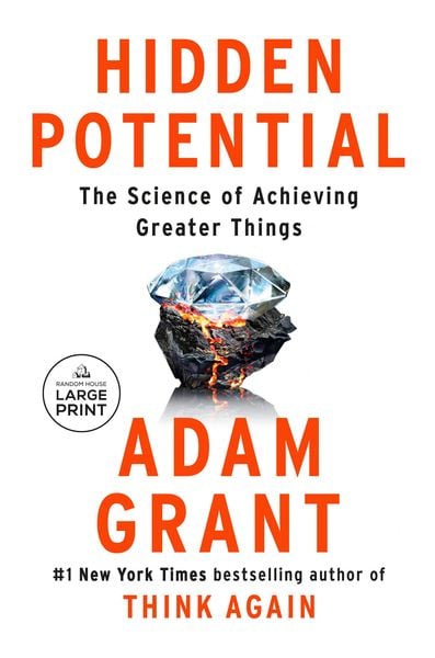 Produktbild: Hidden Potential