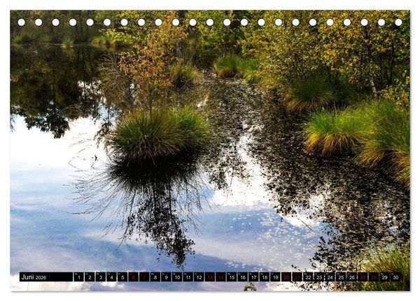 Produktbild: L&uuml;neburger Heide (Tischkalender 2026 DIN A5 quer), CALVENDO Monatskalender