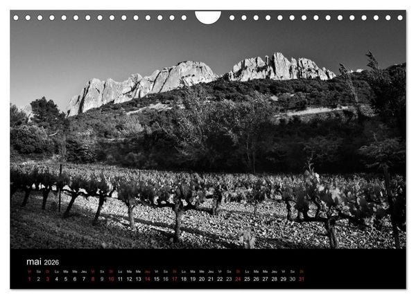 Produktbild: VIGNES DU SUD terroirs d'AOC (Calendrier mural 2026 DIN A4 vertical), CALVENDO calendrier mensuel