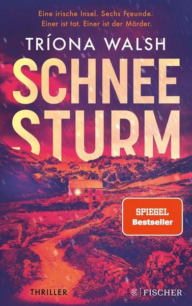 Produktbild: Schneesturm