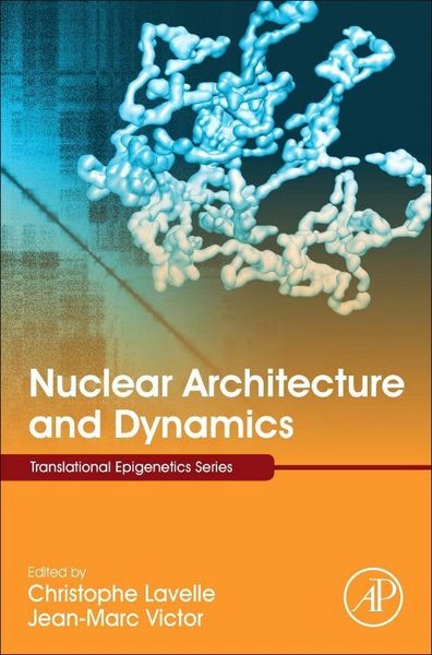 Produktbild: Nuclear Architecture and Dynamics