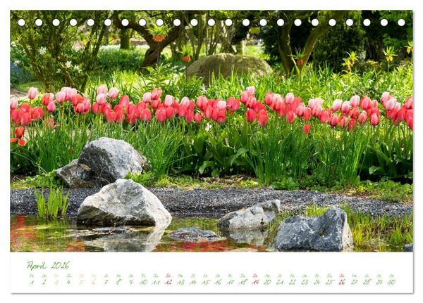 Produktbild: Kreislehrgarten in Steinfurt (Tischkalender 2026 DIN A5 quer), CALVENDO Monatskalender