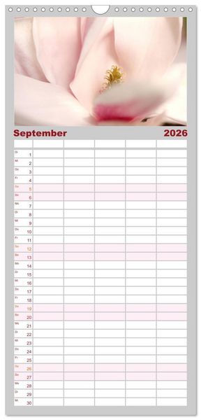 Produktbild: Familienplaner 2026 - Magnolien Ein Bl&uuml;tenrausch mit 5 Spalten (Wandkalender, 21 x 45 cm) CALVENDO