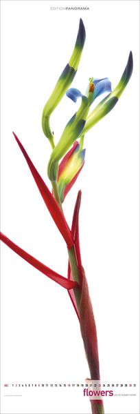 Produktbild: Flowers 2023