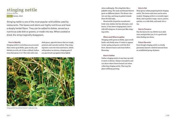 Produktbild: Southeast Foraging