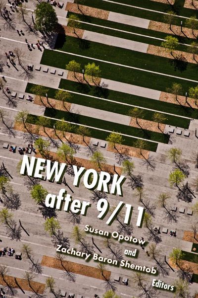 Produktbild: New York After 9/11