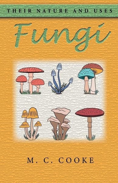 Produktbild: Fungi