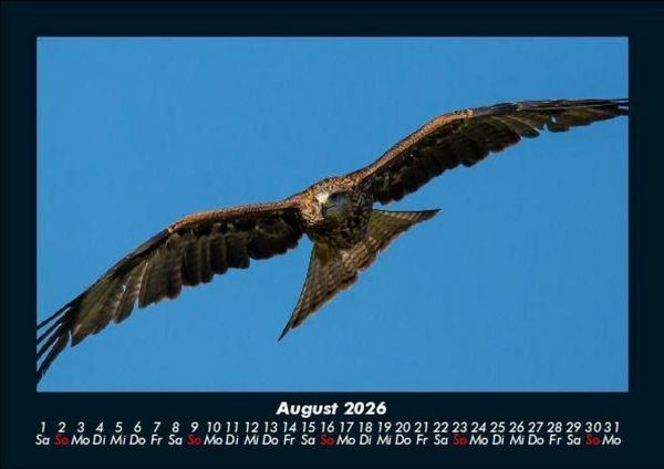 Produktbild: Adler 2026 Fotokalender DIN A5