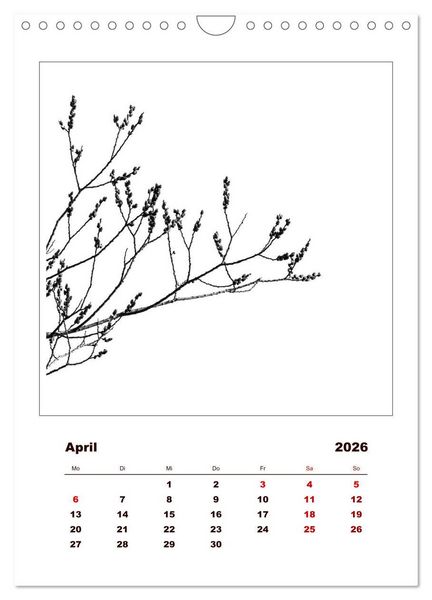 Produktbild: LignoGrafica - Muster und Strukturen der B&auml;ume (Wandkalender 2026 DIN A4 hoch), CALVENDO Monatskalender
