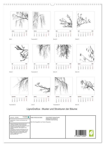 Produktbild: LignoGrafica - Muster und Strukturen der B&auml;ume (hochwertiger Premium Wandkalender 2026 DIN A2 hoch), Kunstdruck in Hochglanz