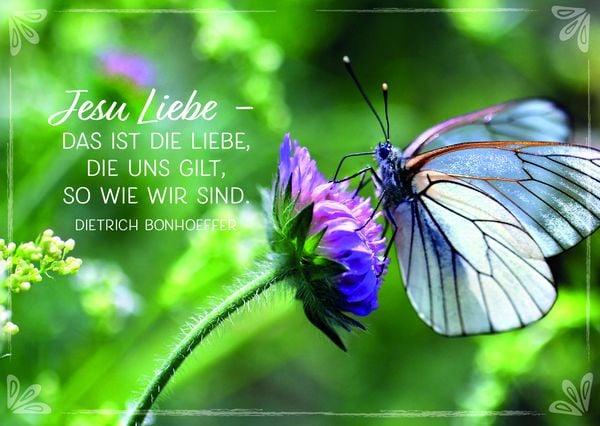 Produktbild: Beh&uuml;tet und getr&ouml;stet jeden Tag