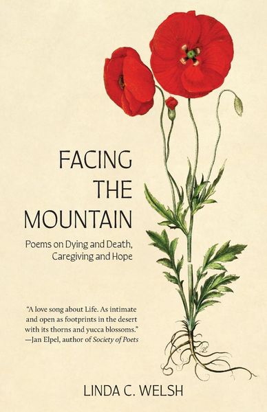 Produktbild: Facing the Mountain