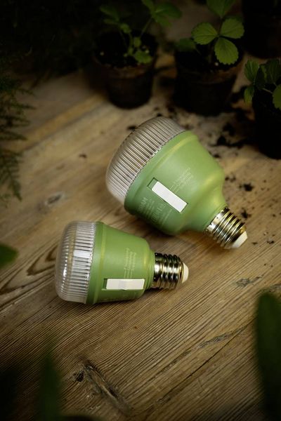 Produktbild: OSRAM HOMELIGHTING 4058075845787Pflanzenlampe E27 10W 1St.