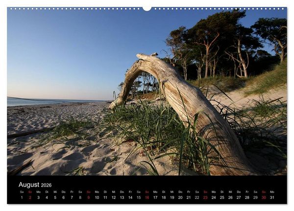 Produktbild: Traumhafte Ostseek&uuml;ste (Wandkalender 2026 DIN A2 quer), CALVENDO Monatskalender
