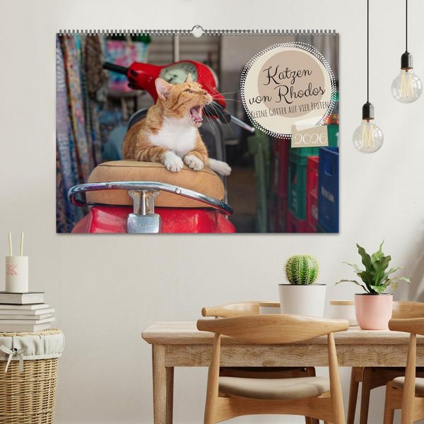 Produktbild: Katzen von Rhodos - Kleine G&ouml;tter auf vier Pfoten (Wandkalender 2026 DIN A2 quer), CALVENDO Monatskalender