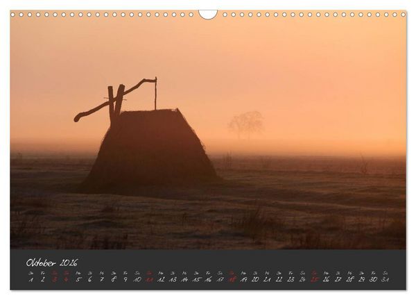 Produktbild: Natur erleben Seewinkel-Neusiedlersee (Wandkalender 2026 DIN A3 quer), CALVENDO Monatskalender