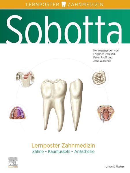 Produktbild: Sobotta Lernposter Zahnmedizin