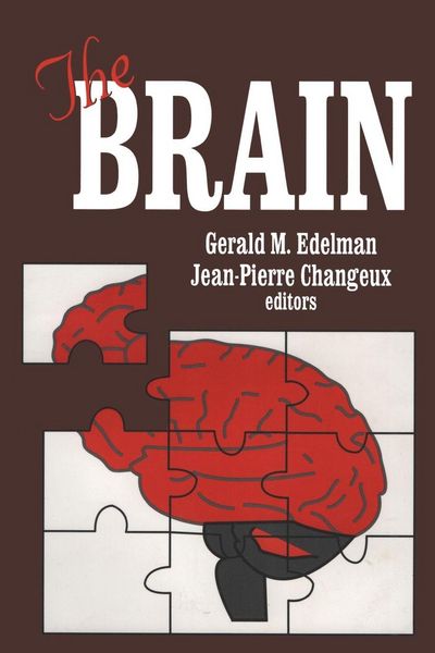 Produktbild: The Brain