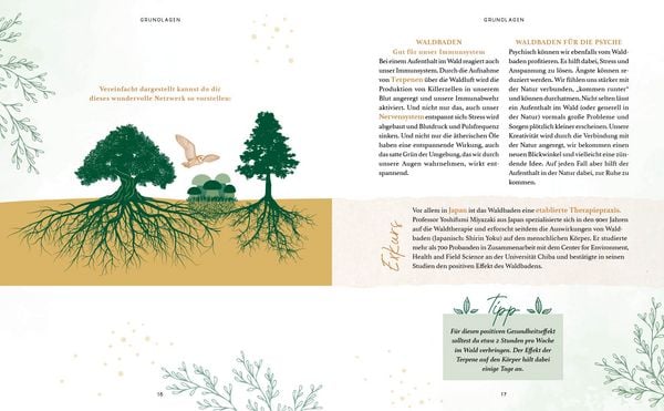 Produktbild: Zaubernuss und Waldmagie &ndash; Naturmomente f&uuml;r deine Seele