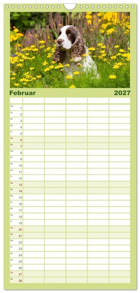 Produktbild: Familienplaner 2027 - English Cocker Spaniel - Fr&ouml;hliche Gesellen mit 5 Spalten (Wandkalender, 21 x 45 cm) CALVENDO