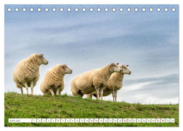 Produktbild: Naturerlebnis R&oslash;m&oslash; (Tischkalender 2026 DIN A5 quer), CALVENDO Monatskalender