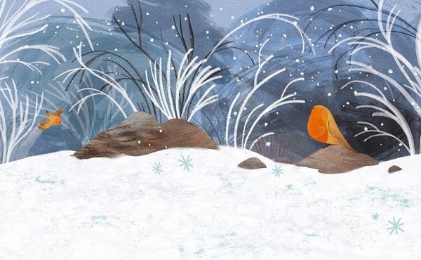 Produktbild: Winter mit Pettirosso